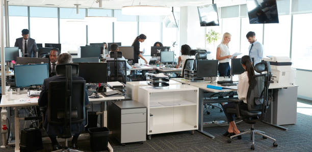 Gente programando en oficina