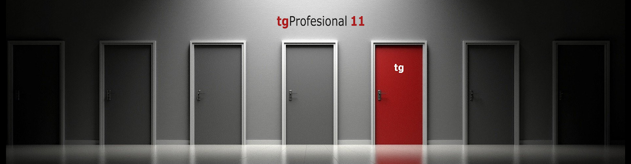 Puertas tgProfesional 11